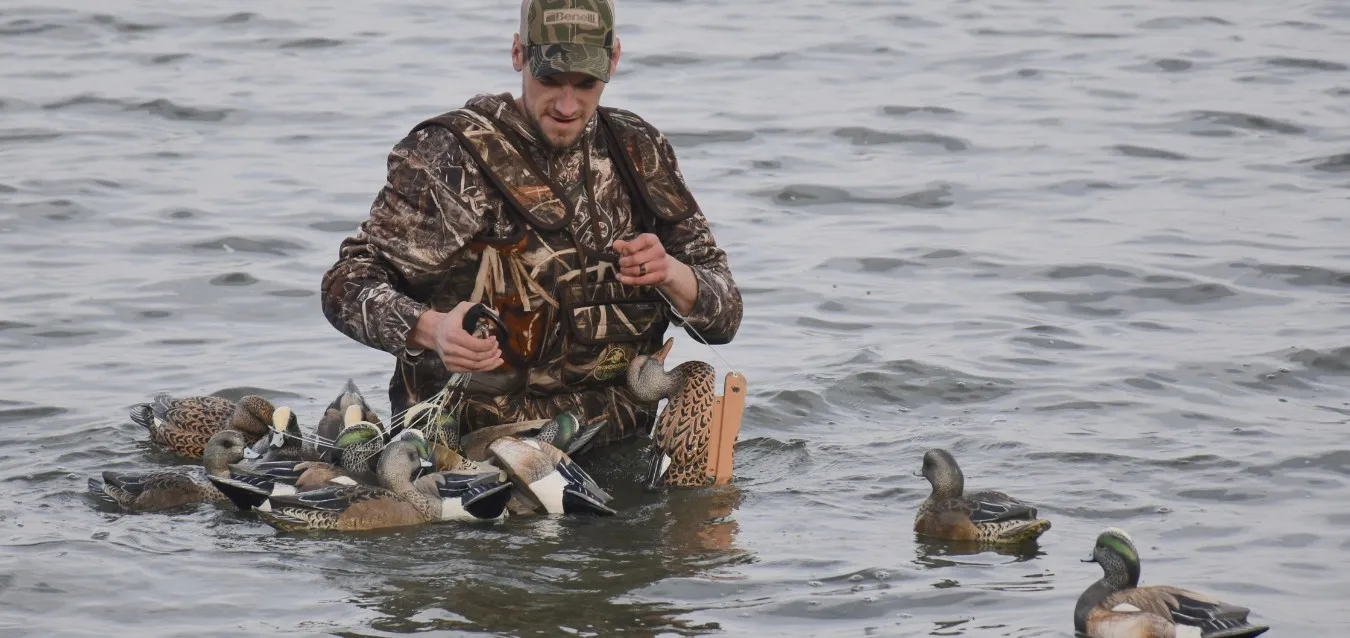 Hunter in camouflage standing in open water, setting out duck decoys