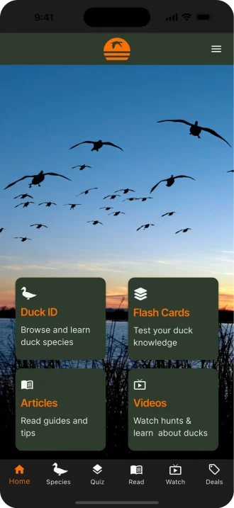 1the call duck hunting app homepage