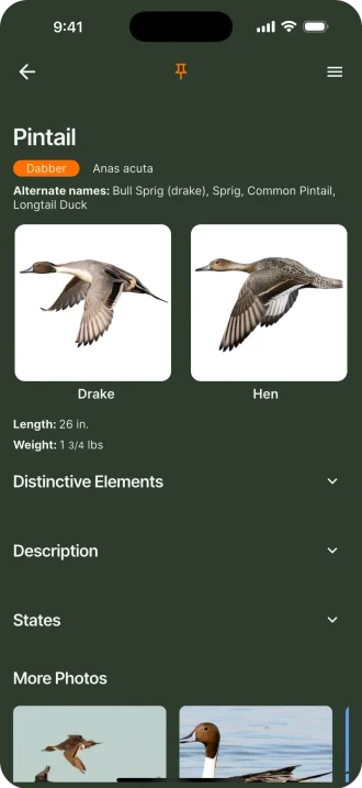 3 the call duck identification data
